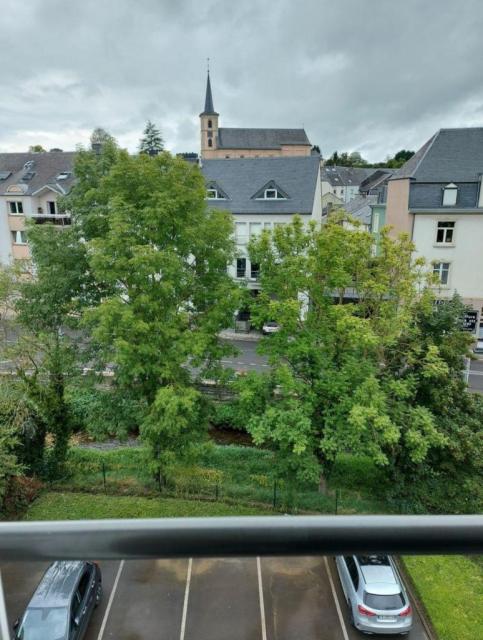Location appartement T2 Thionville - Photo 10