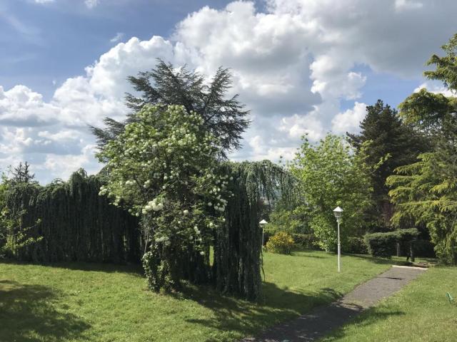 Location chambre Montlucon - Photo 2