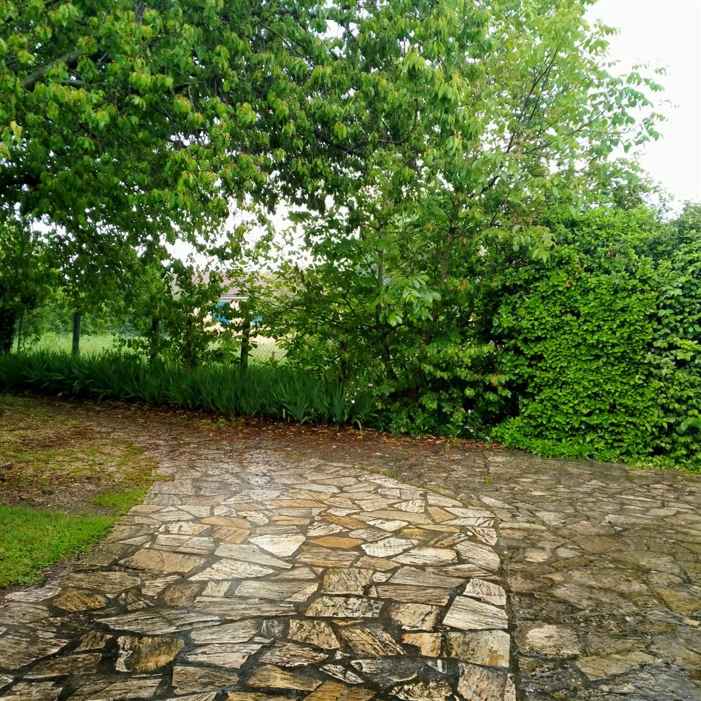 Location chambre Clermont Ferrand - Photo 4