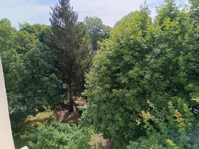 Location appartement T5 St Germain en Laye - Photo 6