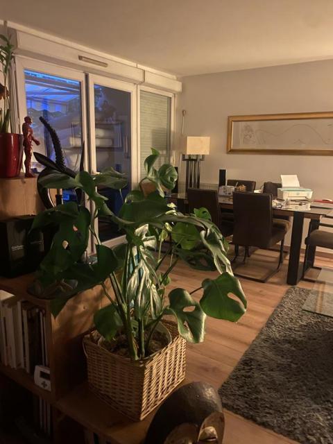 Location appartement T3 Choisy le Roi - Photo 4