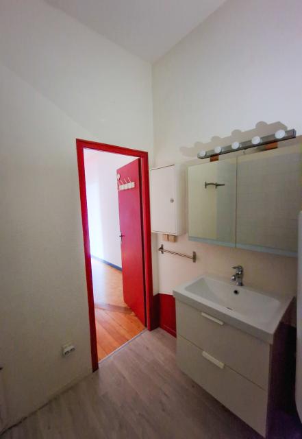 Location appartement T2 Mulhouse - Photo 6