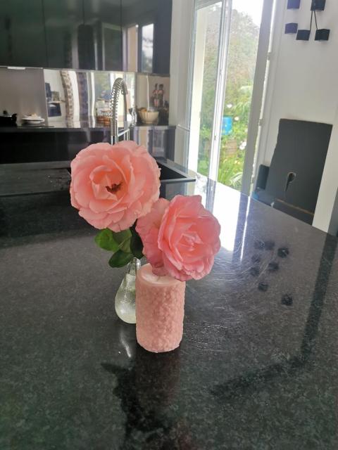 Location chambre Meulan - Photo 4