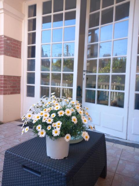 Location appartement T1 Cabourg - Photo 3