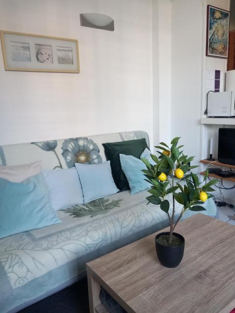 Location appartement T1 Cabourg - Photo 4