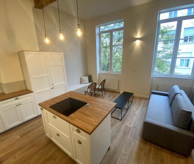 Location appartement T2 Lyon 1 - Photo 1