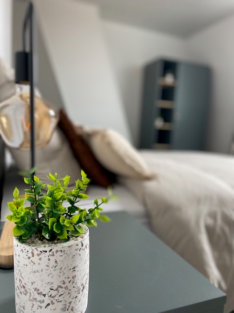 Location chambre Roubaix - Photo 3