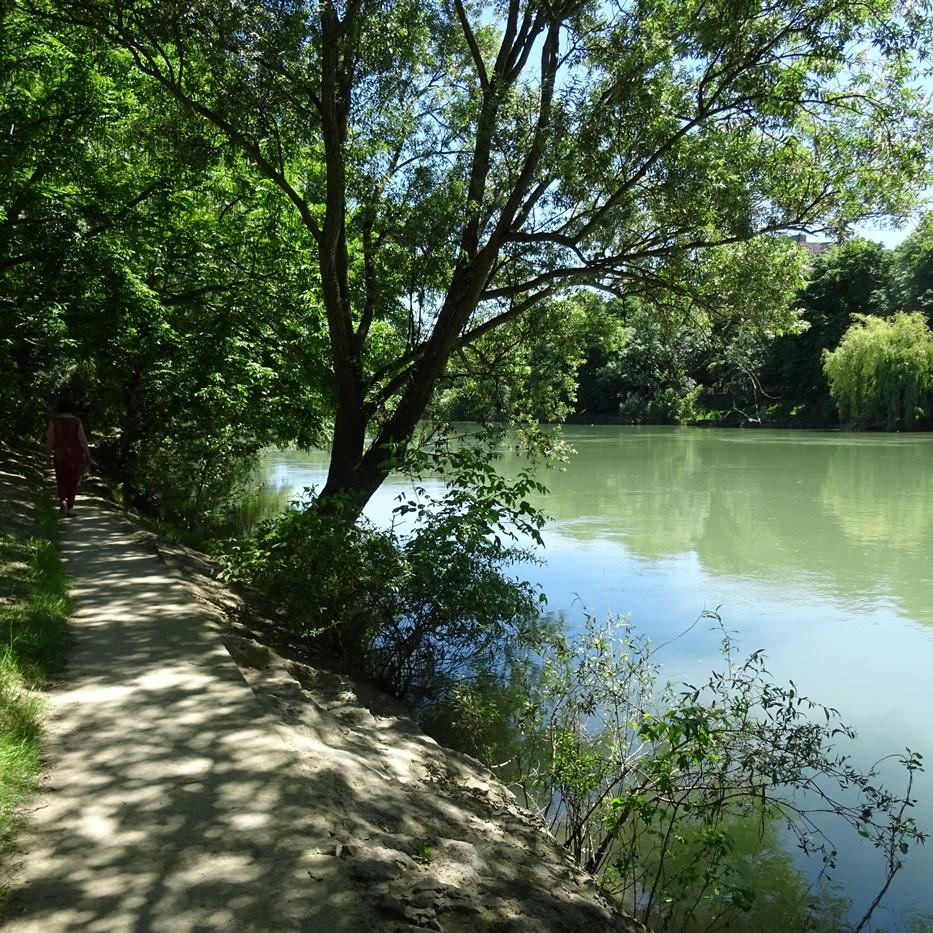 Location chambre Champigny sur Marne - Photo 2
