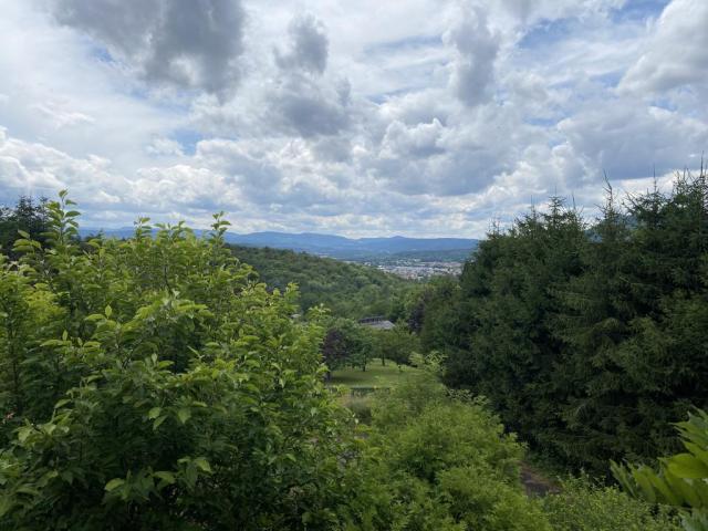 Location maison F9 Nayemont les Fosses - Photo 1