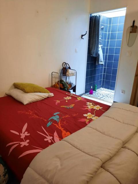 Location chambre Lyon 3 - Photo 4