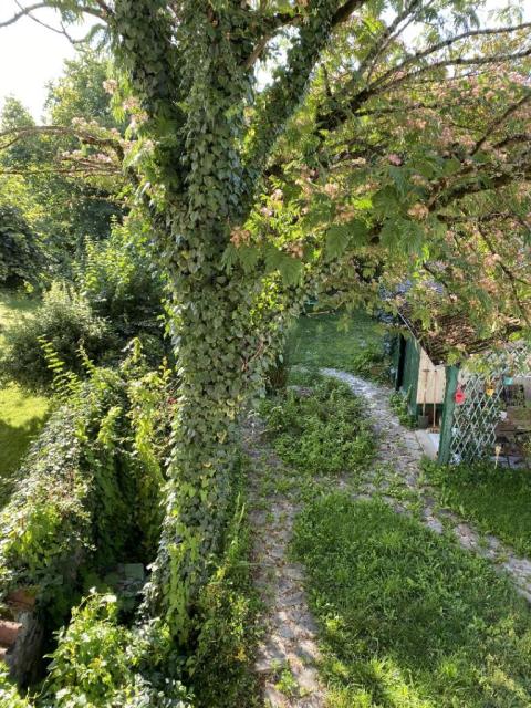 Location appartement T3 Limoges - Photo 3