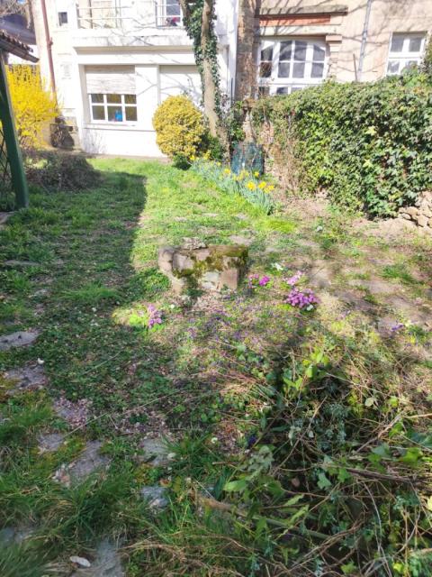 Location appartement T3 Limoges - Photo 6