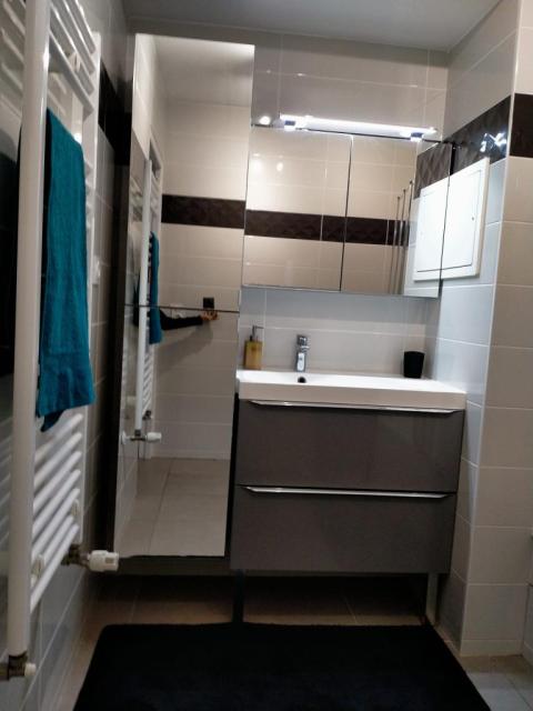 Location appartement T2 Aix les Bains - Photo 8