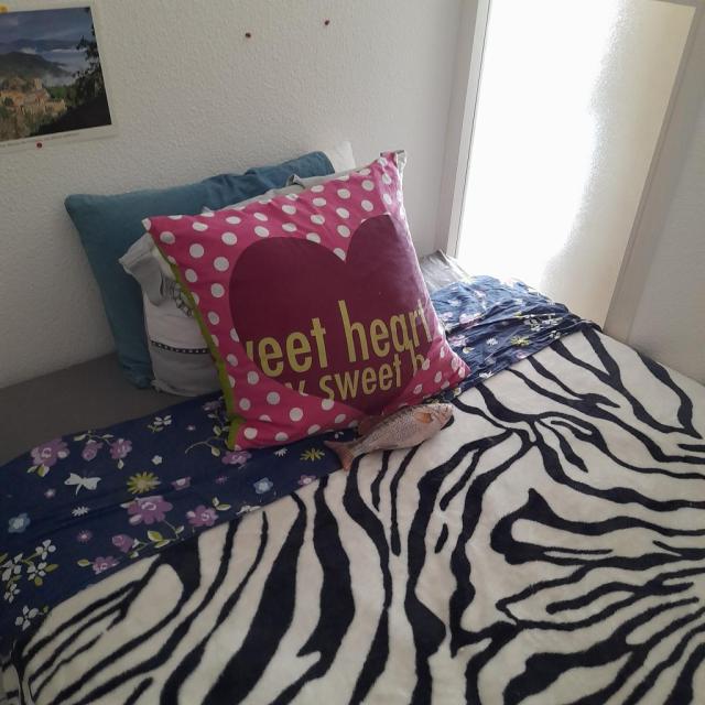 Location chambre Perpignan - Photo 1