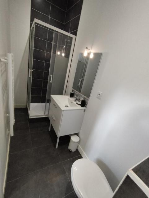 Location appartement T2 Villeurbanne - Photo 3