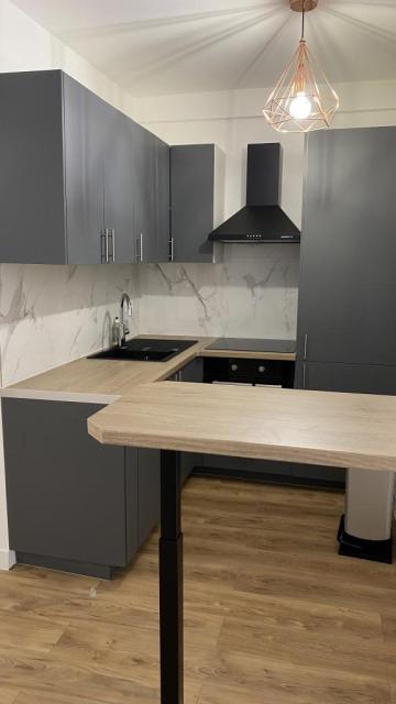 Location appartement T2 Nice - Photo 2