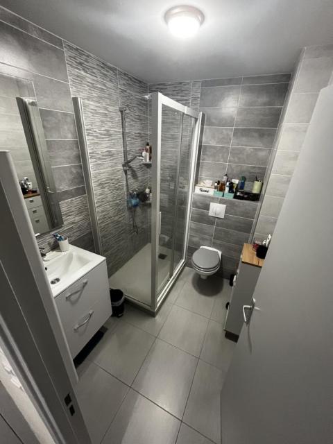 Location appartement T2 St Chamond - Photo 3