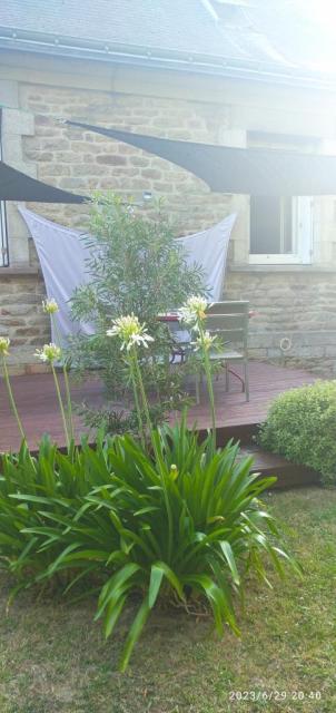 Location chambre Lorient - Photo 9