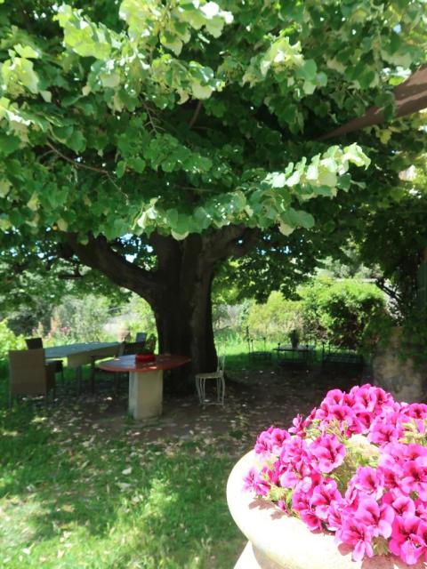Location chambre Grasse - Photo 7
