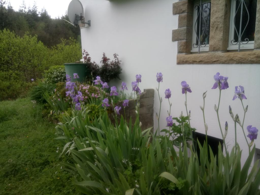 Location chambre Ploneis - Photo 3