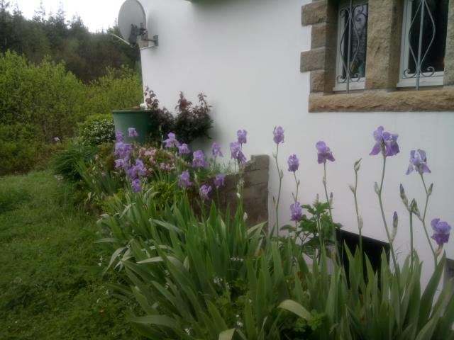 Location chambre Ploneis - Photo 3