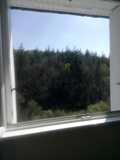 Location chambre Ploneis - Photo 4
