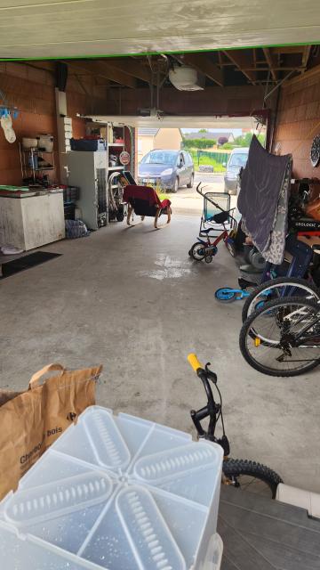 Location maison F7 Amagne - Photo 7
