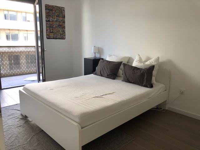 Location appartement T3 Strasbourg - Photo 4