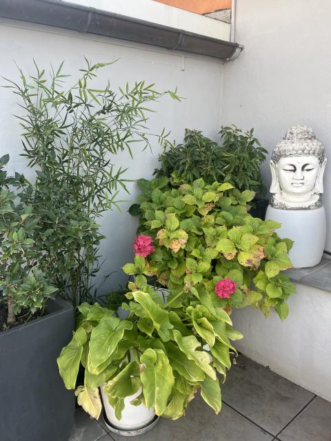 Location chambre Villeurbanne - Photo 8