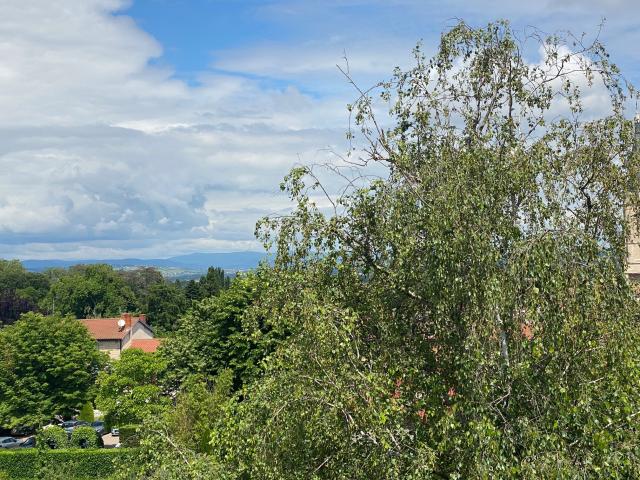 Location appartement T2 Chasselay - Photo 4