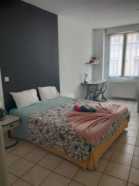 Location appartement T3 St Etienne - Photo 3
