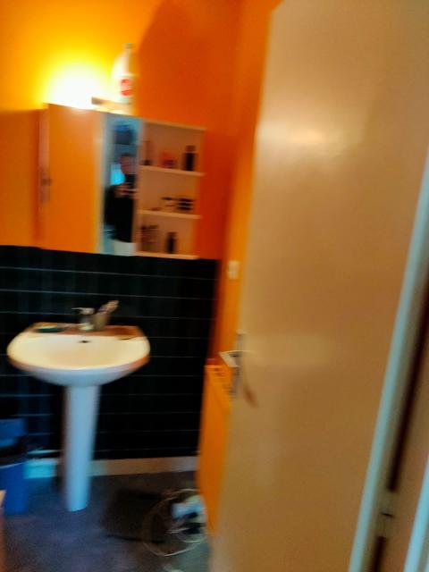 Location appartement T2 Nantes - Photo 6