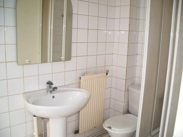 Location appartement T2 Troyes - Photo 3