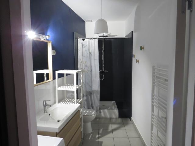 Location appartement T2 St Etienne - Photo 6