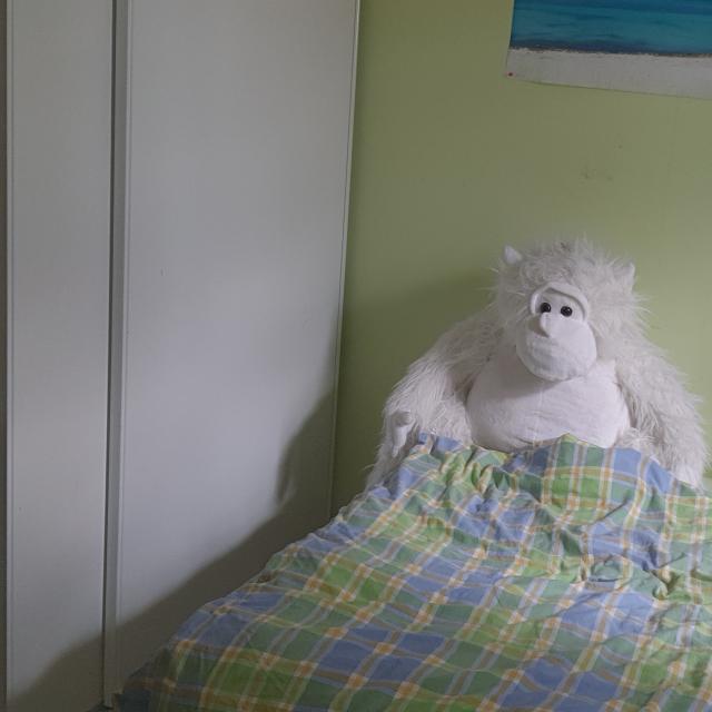 Location maison F3 Privas - Photo 6