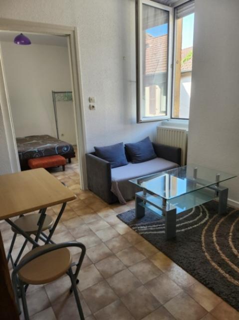 Location appartement T2 Belfort - Photo 3