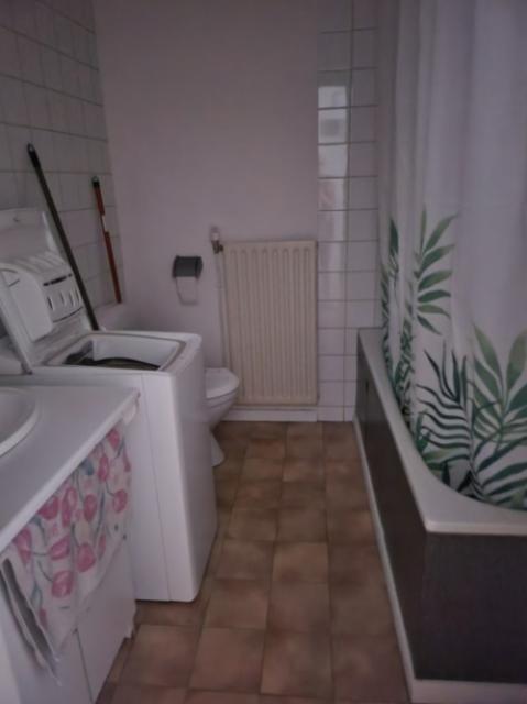 Location appartement T2 Belfort - Photo 7
