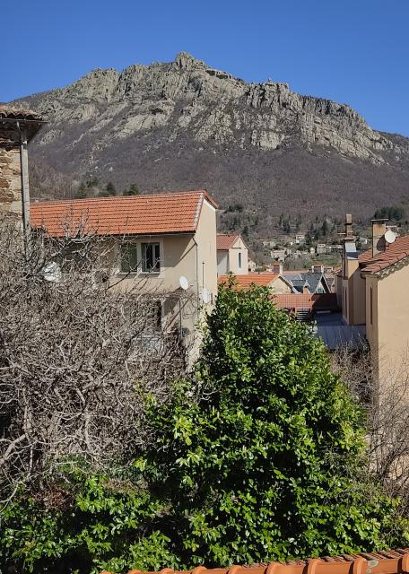 Location appartement T3 Vialas - Photo 5