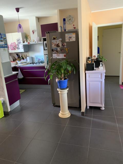 Location chambre St Genies Bellevue - Photo 7