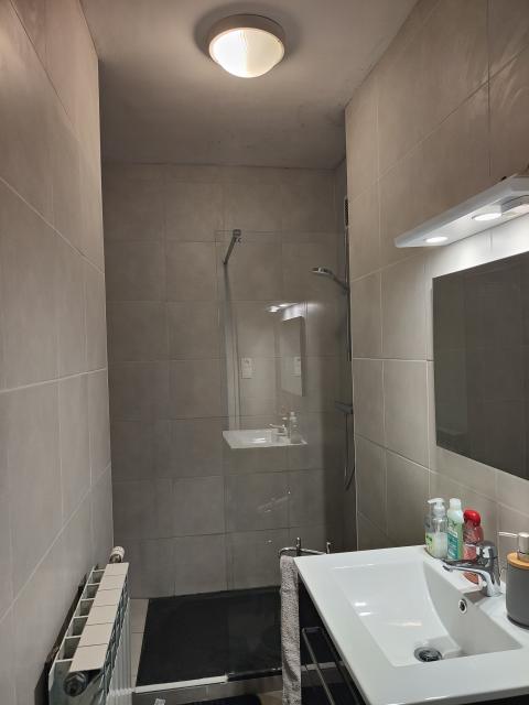Location appartement T3 St Martin d'Heres - Photo 6