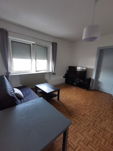 Location appartement T2 Sarrebourg - Photo 9