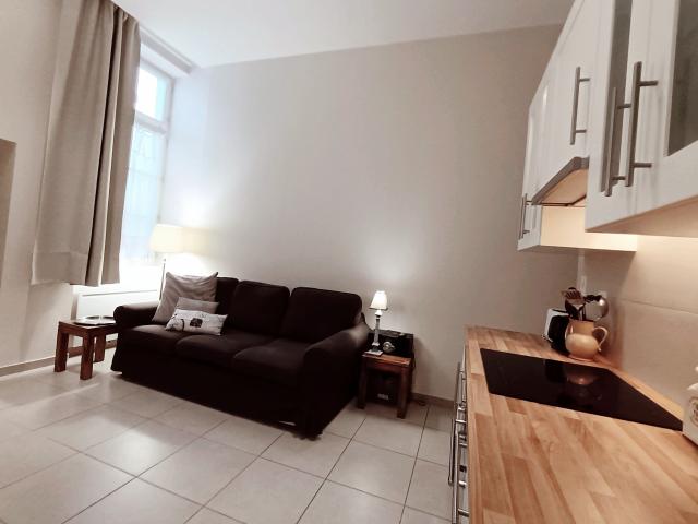 Location appartement T2 Nantes - Photo 2