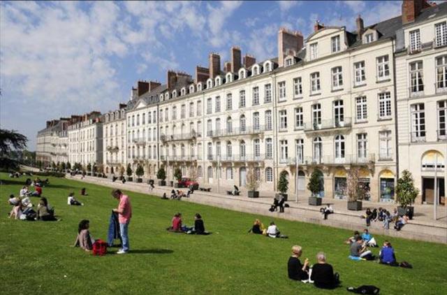 Location appartement T2 Nantes - Photo 10
