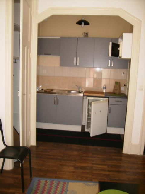 Location appartement T2 Grenoble - Photo 1