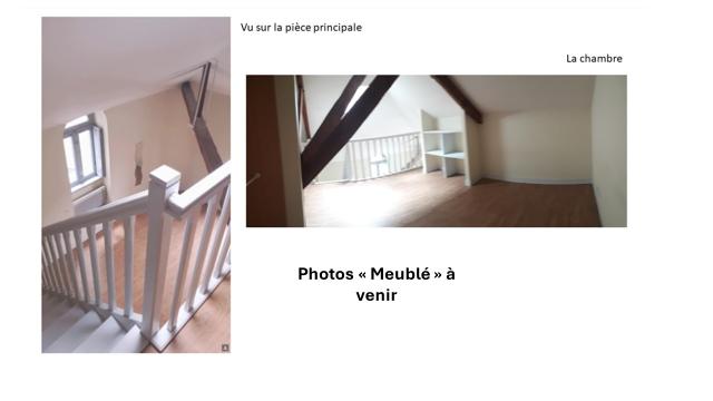 Location appartement T2 Nantes - Photo 3