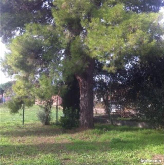 Location maison F5 Verzeille - Photo 4