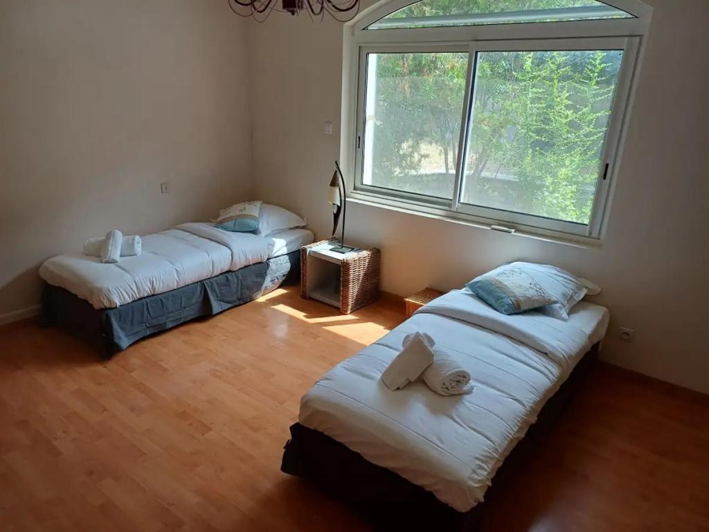 Location chambre Castelnau le Lez - Photo 3