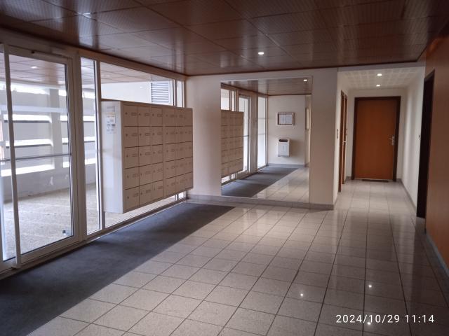 Location appartement T3 Angers - Photo 1