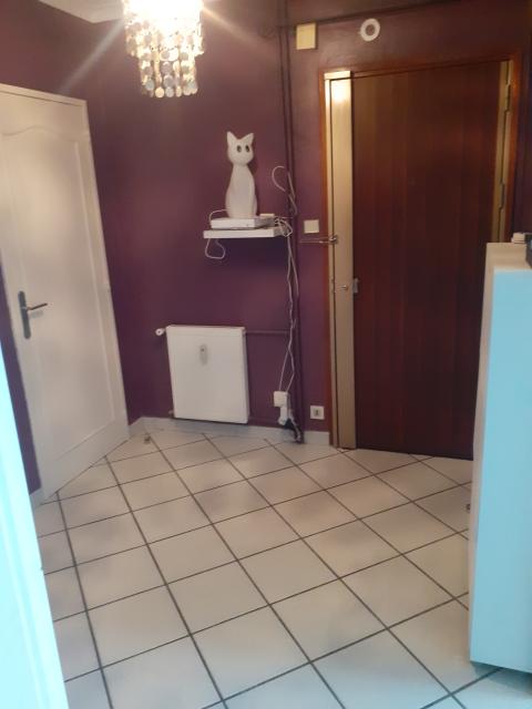 Location appartement T3 St Etienne - Photo 5