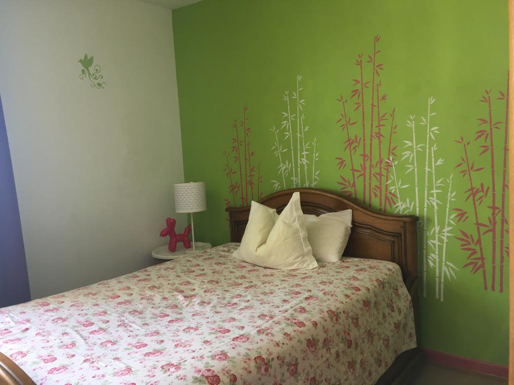 Location chambre Mulhouse - Photo 1
